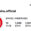 피노피누