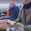 피로 해소 음료수병은 뚜껑을 끼운 채 버리는게 분리수거에 더 도움이 된다 이미지