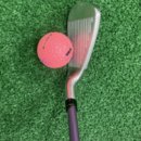 현대골프 | 입문 여자 골프채 다이와 지쓰리 엘파 풀세트 추천 구매 후기 김포현대아울렛 골프매장