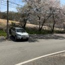 한가어죽 - 철원군 | 한가어죽