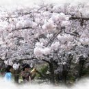 봄내사랑의원 이미지