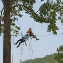아보리스트 2급 자격증 과정 이미지