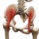 고릴라멀티짐 이미지