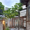 진스키친 이미지