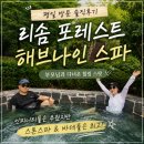 리솜 포레스트 해브나인 후기, 부모님과 평일 스파 다녀온 솔직 후기