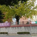 부경고등학교 이미지