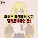 싱싱빅마켓 이미지