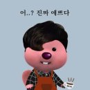 트라이오운 | 서울 프로필 촬영 추천 | 아워오운아워 리얼플라워 프로필 | 내돈내산 솔직후기
