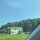 민속옹심이&막국수 이미지