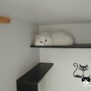 호텔구구 이미지