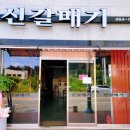 신갈매기