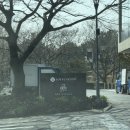 명품당구클럽 | <아트빌라스 제주> 켄고쿠마 74평형 2박 3일 후기 (5인) - 제주 가족여행, 부모님 여행 숙소 완전 추천...