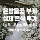 은방울꽃 부케 추천 제이스플로라 본식 후기 화이트튤립 믹스 (꽃말, 가격 총정리)