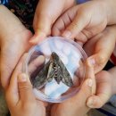 언동초등학교(병설) 이미지