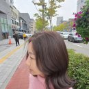 에이바헤어 이미지