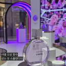 샤넬 샹스 오 스플렌디드 판교 현대백화점 팝업스토어 후기