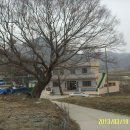 강교2리 Daum카페
