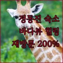 다우리조텔 | 정동진 여행 가이드와 다우 리조텔 바다 뷰 숙소 추천 재방문 의사 200%