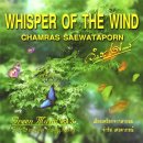 Chamras Saewataporn - Whisper Of The Wind (바람의속삭임) - 2011 이미지