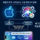 손 안의 비서 스마트폰 티스토리