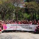 라이브 이미지