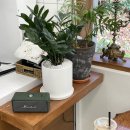 몽땅 포레스트 이미지