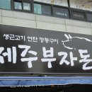 제주부자돈 이미지