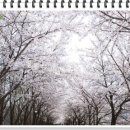 코비한의원 이미지