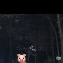 푸드&치즈팡 이미지