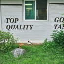 개울과 사람들 | 경기도 광주 남한산성 애견동반 계곡카페 | 개울테라스 주말 방문 후기 &amp; 꿀팁