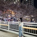 ㈜부산은행 감만동지점 | [4월] 집사노릇 8할이였던 일상