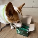 윤덴탈 | [강아지 덴탈껌] 에스클래스펫 눈앤 덴탈껌