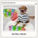 저단50 | 도거박스/ 도거박스 저단저지 샘플팩/ 신장화식/ 강아지신장화식 추천