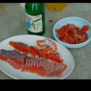 B캠핑장 화장실 Daum카페