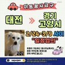 덕선/대전＞경기고양/2.24~3.9일 일정협의 이미지