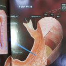 호성한의원 네이버블로그