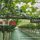 주식회사 약팜 이미지