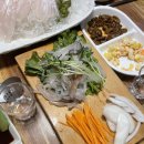 물만난오징어 이미지