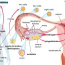 본스필한의원 이미지