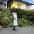 큐브 세탁 이미지