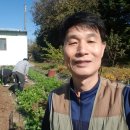 기중농장 이미지