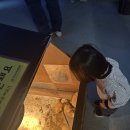 하이웨이마트 화도점 | 아이랑 가평 1박 2일 여행 코스 일정 [키즈풀빌라 + 동물원 + 남이섬]