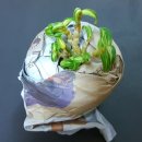 선달농장 이미지