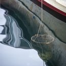 생선나라 이미지