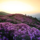 지리산 - 부천시 소사구 은성로 40 | 지리산