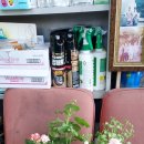 초록빛약국 이미지