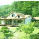 안나하우스벨리 이미지