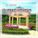 대전 6월 나들이 명소 대청호반 자연수변공원 장미전시회