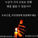 오보코리아 이미지