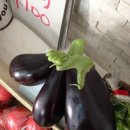 행복가득약국 이미지